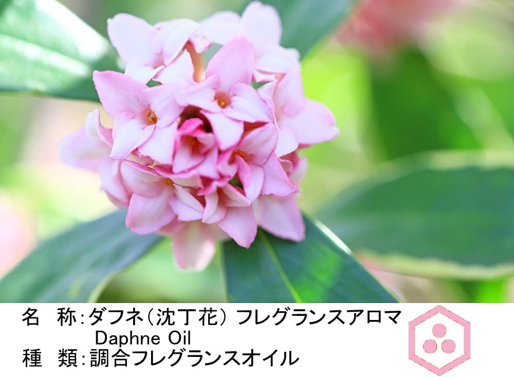 Amazon Noto ダフネ 10ml アロマ Daphne 沈丁花 アロマフレグランスオイル アロマギフト 沈丁花香料 10ml Noto エッセンシャルオイル
