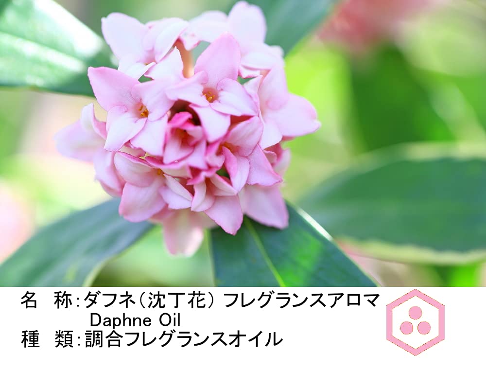 アロマオイル　沈丁花ダフネ1本10ml Amazon.co.jp: NOTO ダフネ 10ml アロマ DAPHNE 沈丁花 アロマ