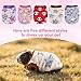 XS Small Animal Clothes – 5 Pieces Bunny & Guinea Pig Outfits, Warm Vest & Soft T-Shirt Costume for Rabbits, Ferrets, Chihuahua Puppies, Mini Dogs, and Other Tiny Pets