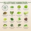Rooted Acre 15 Variety Lettuce & Salad Greens Seeds Pack – 3,000 Heirloom 𝗡𝗢𝗡-𝗚𝗠𝗢 𝗨𝗦𝗔 Seeds for Hydroponic, Indoor & Outdoor Planting – Romaine, Arugula, Spinach, Kale & Butter Lettuce #1
