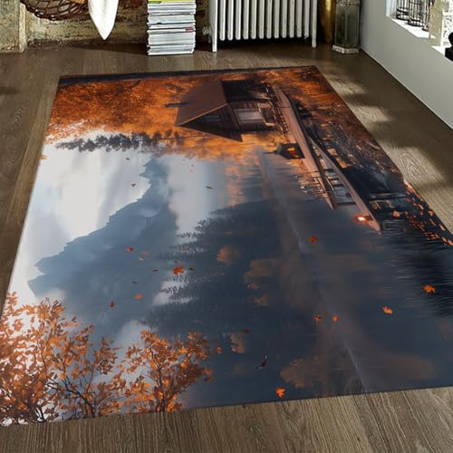 􂦂傫ȃrO[̕~t@[nEXH̕iJ[ybg􂦂銊~߃\tgKȃGA̕~ItBXAp[gp 140x200cm