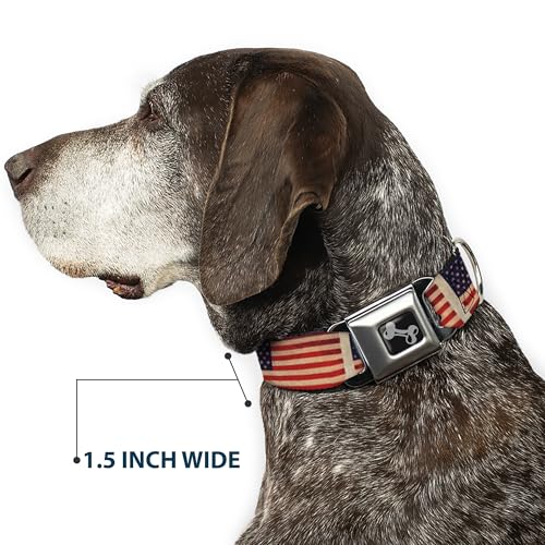 Collier chien réglable drapeau américain vieilli Buckle Down S - 8