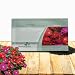 Outsidepride Vinca Pacifica XP Bold Flower Seed Mix - 100 Seeds