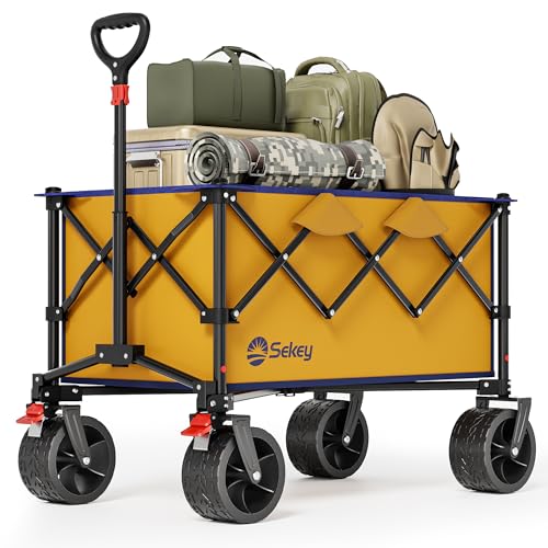 Sekey 4031 Bollerwagen