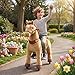 PonyCycle Ride on Horse Ride on Toys Riding Horse Ride on Pony for Toddlers 3-4 with Brake No Battery Required (30
