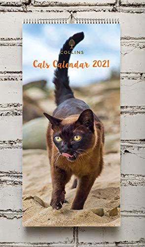 Collins Calendario Cat 2021