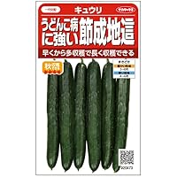 Amazon | サカタのタネ 実咲野菜0470 霜知らず地這 キュウリ 00920470