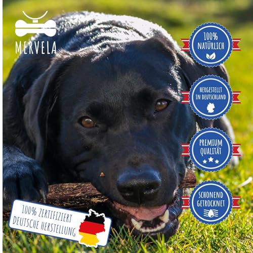 MERVELA® Natürliches Pferde-Dörrfleisch für Hunde | Hypoallergen | 100% Pferd | schonend luftgetrocknet | getreidefrei | Premium-Kausnack aus Deutschland | 500 g