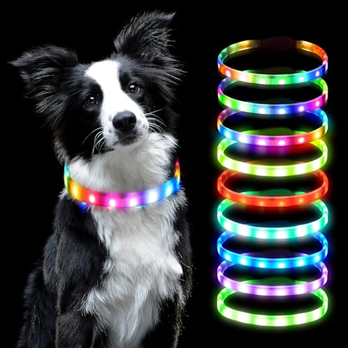 AUAUY Collare Luminoso per Cani, Collare per Animali Domestico LED Ricaricabile USB, Collare di Lunghezza Regolabile con 9 Modalità Luminose per Cani di Taglia Piccola Media Grande - Multicolore