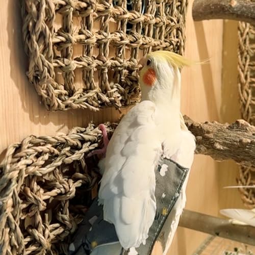 2 peças de tapete de algas marinhas de 18 x 18 cm, tapete de rede de pássaro tecido de alga marinha