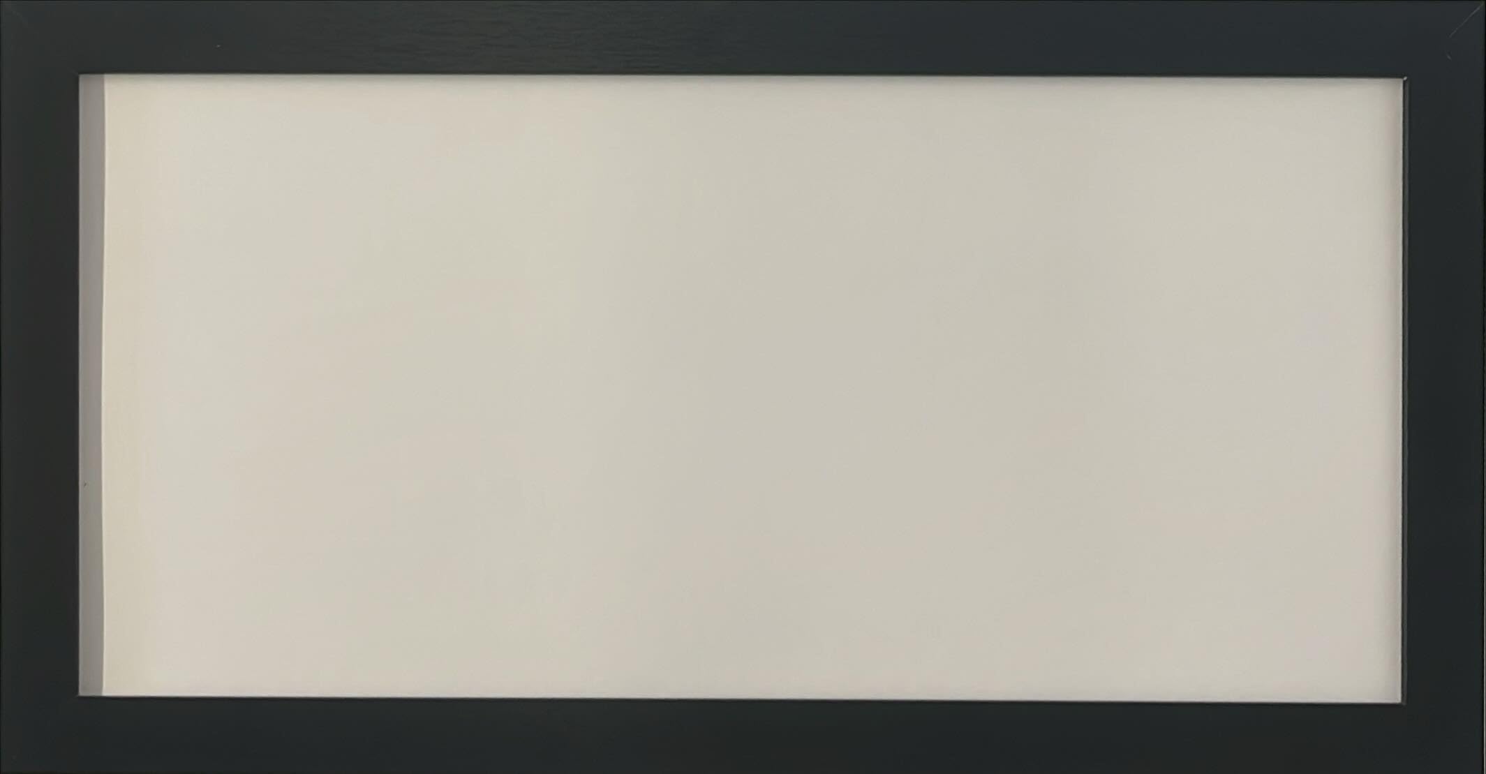 Studio Black Ash Picture Frame 21x10 Inch