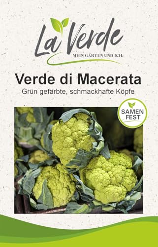 Coliflor Verde di Macerata Semillas de Repollo