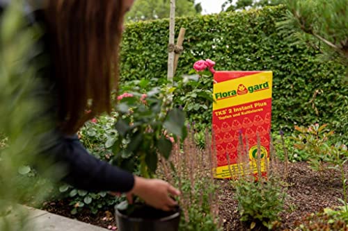 TKS 2 1 x 100 L - Universalerde für Gemüsepflanzen - Geheimtipp für Chilipflanzen - auch für Grünpflanzen