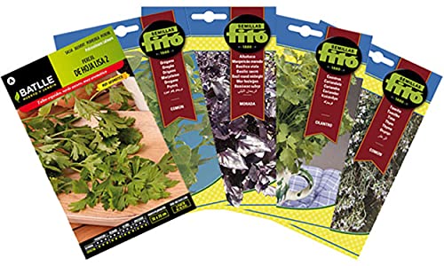 PLANTAWA Pack Semillas Culinarias, Surtido de Semillas, 5 Variedades para Plantar en Jardín o Terraza, Set mezcla de Semillas Aromáticas para Cocinar, Plantas Aromáticas para Huerto Urbano