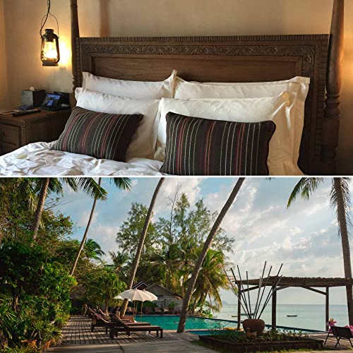 Joyful (December Exploring)