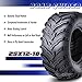 ROADGUIDER 2 ATV/UTV Tires 25x12-10 25x12x10 6PR 10274