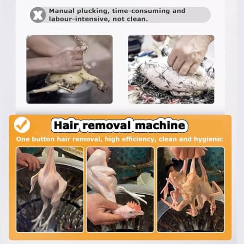 Macchina per spolverare il pollame dell'acciaio inossidabile, 98 dita morbide e attrezzatura efficiente della piuma di 1500W per pollo, anatra, tacchino