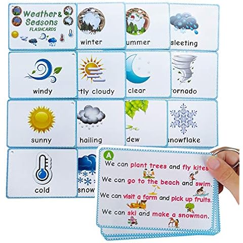 Richardy Weather & Seasons Flashcards Educational Learning Toys Toddlers Kids Learning Pocket Cards Kindergarten Supplies Cover