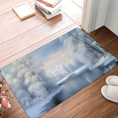 Front Door Mat Outdoor Indoor Welcome Mats 24