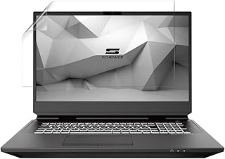 celicious Silk Mild Anti-Glare Screen Protector Film Compatible with Schenker DTR 17 SDT17M20 [Pack of 2]