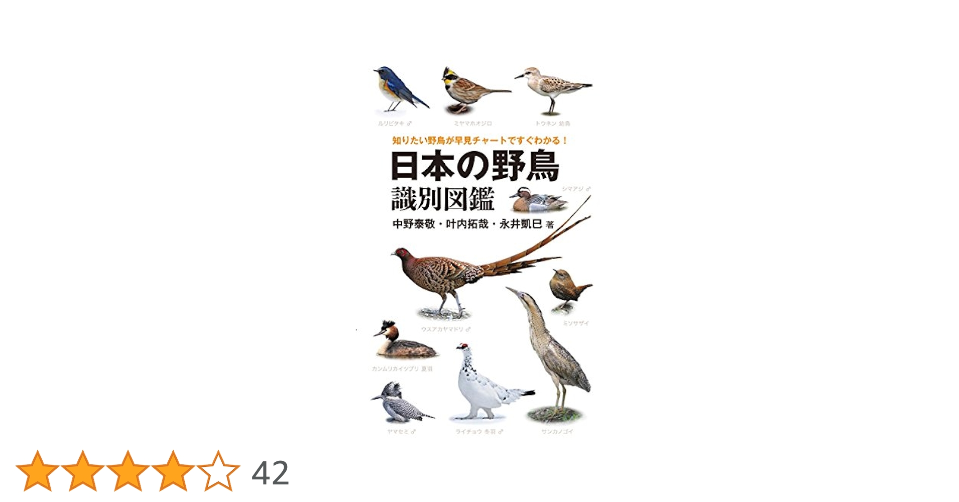 日本の野鳥図鑑等計5冊セット 81UvPn9qcsL.jpg