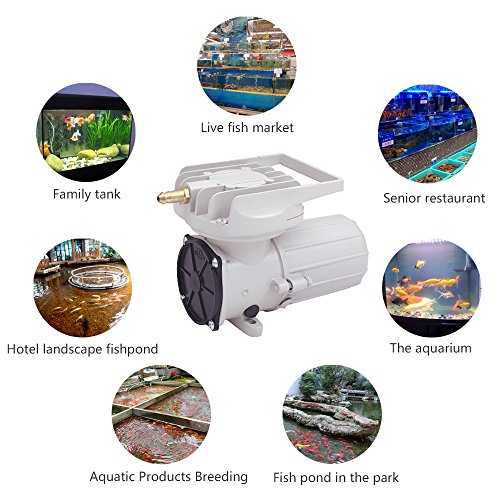 HEALiNK DC 12V 120LPM/Min 1900GPH 60W Aquarium Air Pumps Aquaculture Fish Poods Pressure Compressor Aerator