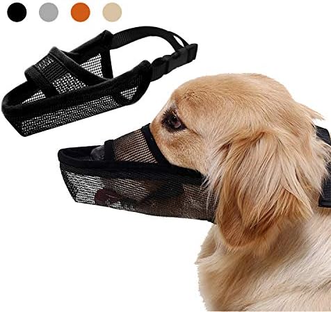 thin dog muzzle