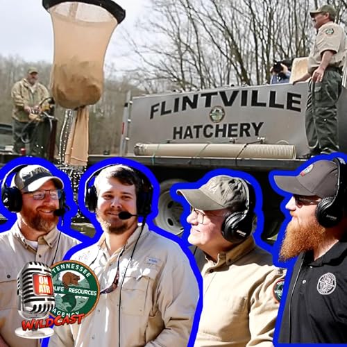 #457 Winter Trout Splash: New Spots, Big Fish, 75,000 Rainbows Incoming Titelbild