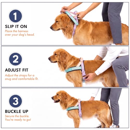 Image of Spark Paws No Pull Front Clip Dog Harness - Easy On, Padded and Lightweight