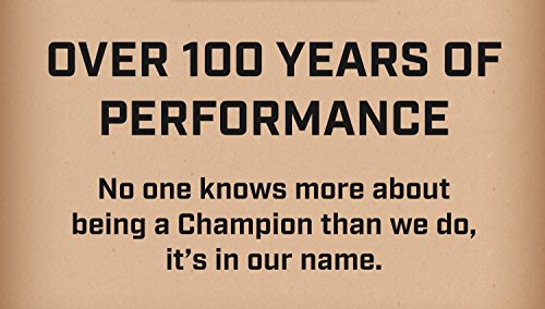 Champion Copper Plus Small Engine 868 Spark Plug (Carton Of 1) - Rj19Lm #TOP4