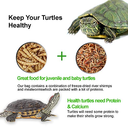 Amzey Shrimp & Mealworms 100% Non-GMO Dried Mealworms - High-Protein Meal Worm Treats - Perfect for Your Chickens, Ducks, Wild Birds, Turtles, Hamsters, Fish and Hedgehogs - Image 5