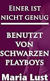  Einer ist nicht genug: Benutzt von Schwarzen Playboys (Zu Zweit ist es doch langweilig 2)