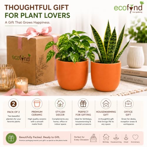 Image of ecofynd 5 Inch Ceramic Plant Pots with Drainage Hole, Modern Decorative Clay Flower Pots for Indoor Plants, Home Garden Decor for Living Room, Bedroom & Interior Spaces (Pack of 2, CPOT041-PEH)
