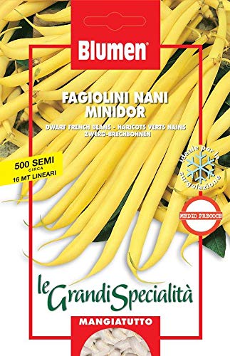 Fagiolini Nani Minidor N.668