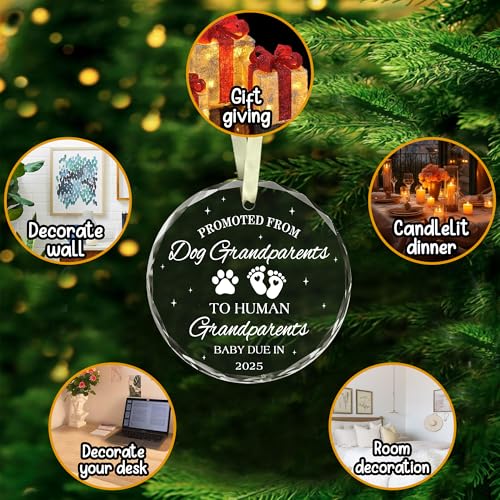 Bsquielegrandparentgiftsfirsttimegrandparentsgiftsnewbabyrevealgiftforgrandmagrandpapromotedfromdoggrandparents2025ornamentmothersfathersdaybirthdaygiftforgrandparent Urban Country Home Decor Bsquiele grandparent gifts first time grandparents gifts new baby reveal gift for grandma grandpa promoted from dog grandparents 2025 ornament mothers fathers day birthday gift for grandparent urban country home decor