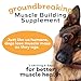 MYOS Canine Muscle Formula - All-Natural Muscle Building Supplement - Helps Reduce Muscle Loss in Dogs Due to Normal Aging and Improves Recovery from Injury or Surgery