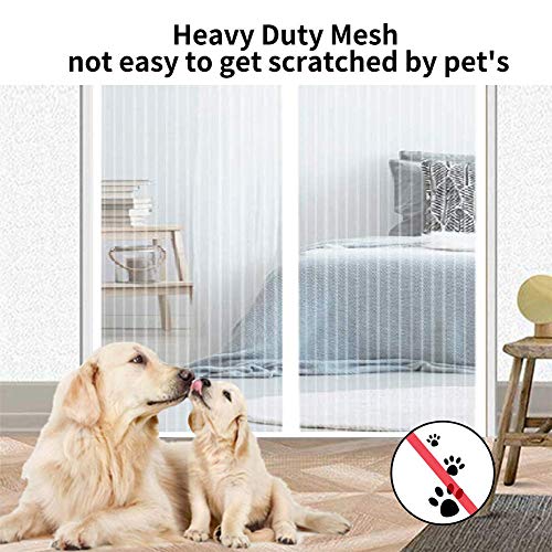 AMCER Zanzariera Magnetica Porta Finestra