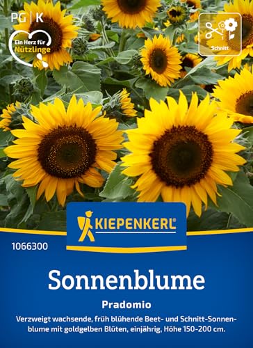 Kiepenkerl Sonnenblumensamen Pradomio 1066300 Früh blühende buschig verzweigte Beet- und Schnitt-Sonnenblume - Wildblumensamen Blumenwiese Saatgut