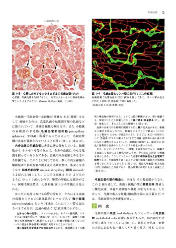 Amazon.co.jp: 医学書院ストア: 標準医学シリーズ
