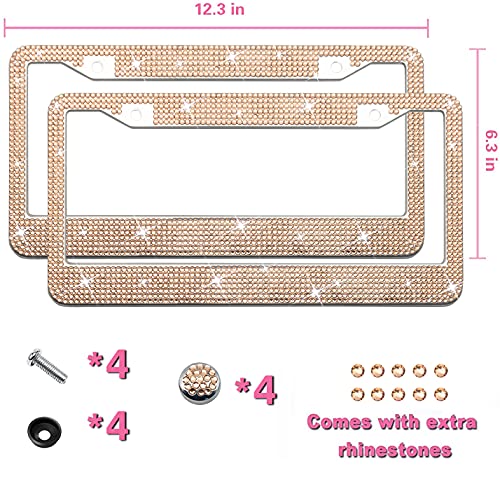Bling License Plate Frame for Women, Sparkly Stainless Steel License Plate Frames| Over 1200 pcs 14 Facets Bedazzled Clear Glass Diamond Rhinestone Crystals w/Free Glitter Diamond+GiftBox(Champagne)