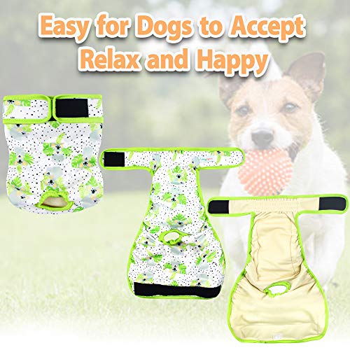 Langsprit Washable Female Dog Diapers (3 Pack) - No Leak Reusable Diapers For Doggy Female In Period - Highly Absorbent Dog Heat Panties With Adjustable Snaps (Koala, Small) #TOP5