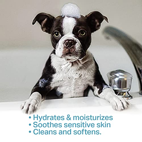 Image of Dog Shampoo | Ditch to Itch & Dog Anti Dandruff Shampoo - (500ml)| Dog Shampoo for Labrador and Golden Retriever| Pet Shampoo for Dogs| Shampoo for Dogs(Combo of 2)