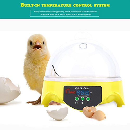 Gootop Inkubator für Brutmaschine, digitale Anzeige, automatische Steuerung für Eier, Geflügel und Vögel, Huhn, Ente… – Bild 8