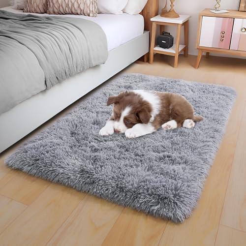 KING DARE Grey Soft 2x3 Rug, Small Shag Area Rug for Bedroom Bedside Dorm, Plush Non-Slip Fluffy Plush Carpet for Living Room Kids Room Nursery, Modern Home Decor Aesthetic