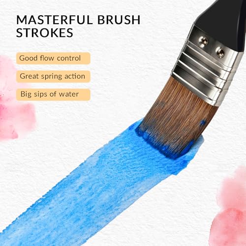 Image of Watercolor Brush Professional, 11Pcs Water Color Paint Brushes Set for Artists, Shapes with Fan, Needle Pointed, Angular, Dagger, Cats Tongue for Watercolor, Gouache, Ink Painting