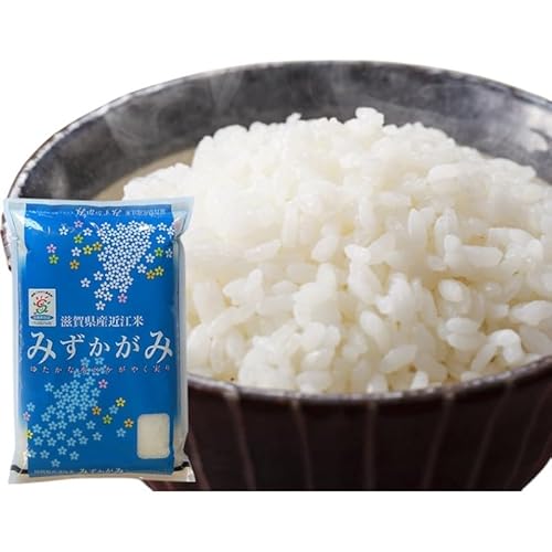 [令和7年産新米]滋賀県産 みずかがみ BG無洗米 10kg 無洗米 お米 こめ おこめ 白米