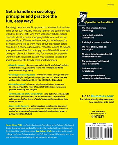 Sociology For Dummies - Image 2