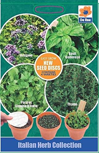 Italian Herb Seeds Easy Grow Oregano Basil Parsley Thyme