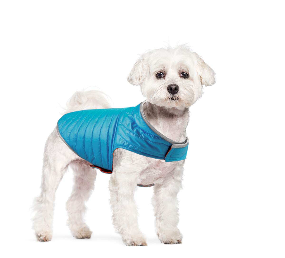 Amazon | ABRRLO 犬服 リバーシブル ダウンベスト ジャケット ドッグ 