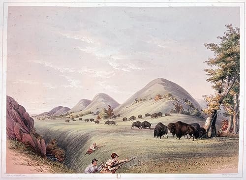 Toile peinture murale George Catlin chasse au bison impression d'art grand format 60x90